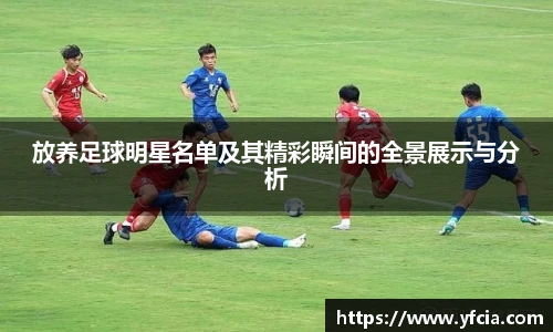 放养足球明星名单及其精彩瞬间的全景展示与分析